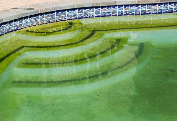 Pool Deck Algae Removal in Kalispell
