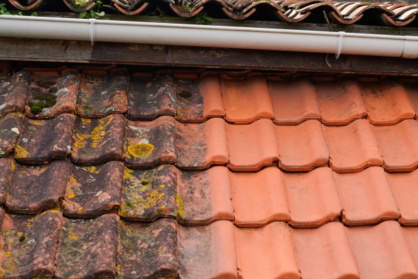 Industrial Roof Cleaning in Kalispell